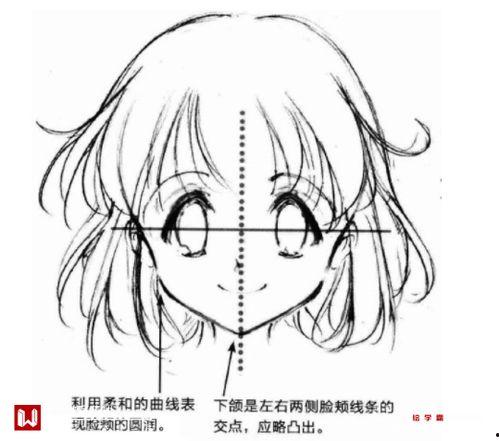 动漫脸,探寻虚拟世界中的独特风采